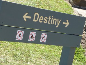 destiny-sign