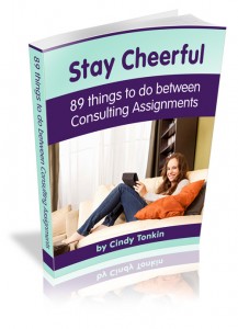 Cindy Tonkin: Consultant's Guide: 89 things to do between Consulting Assignments