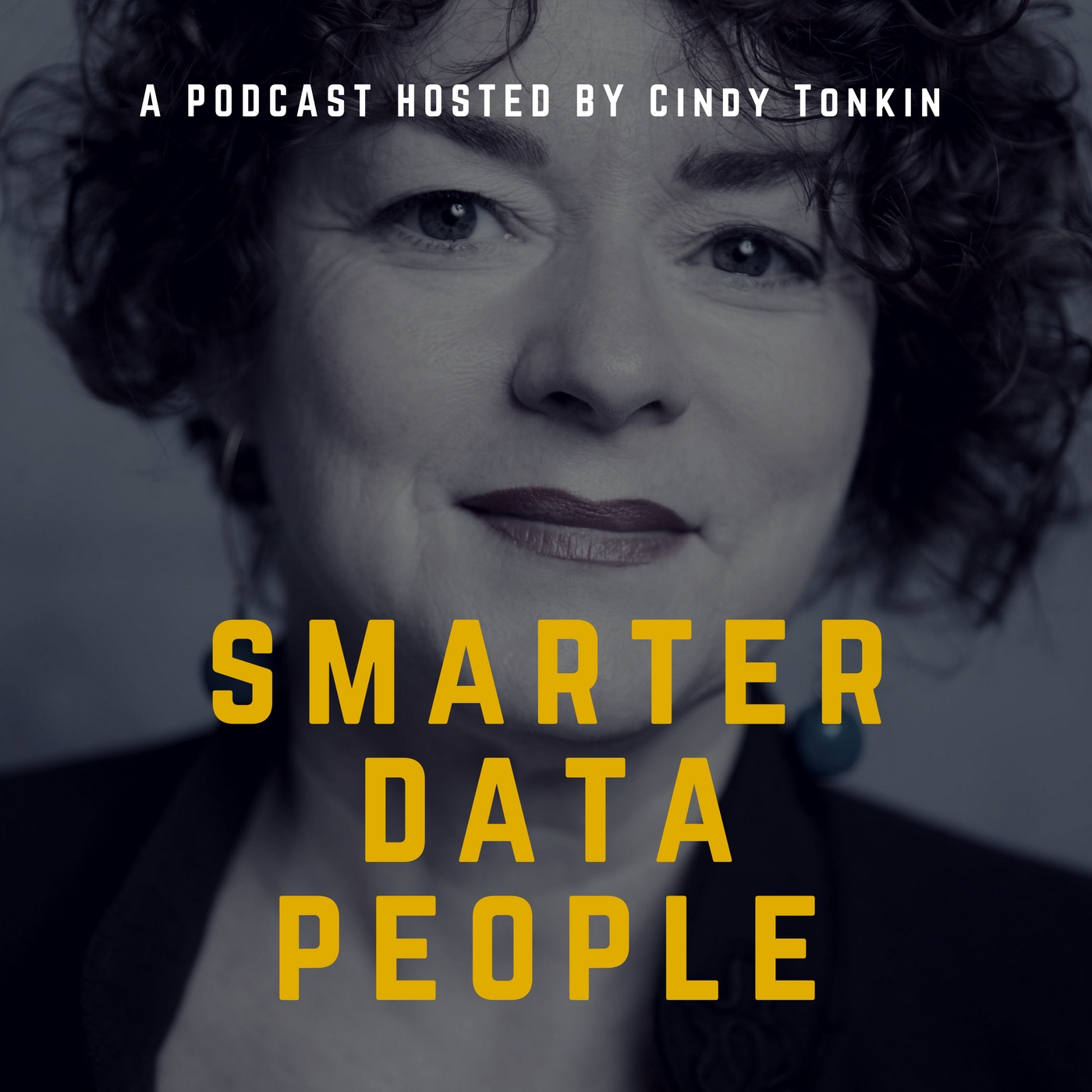 consultants consultant cindy tonkin smarter data people