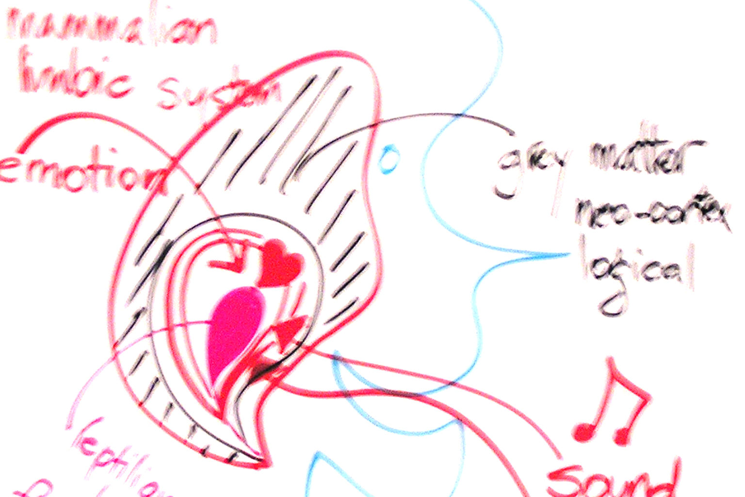 NLP Elegant Language