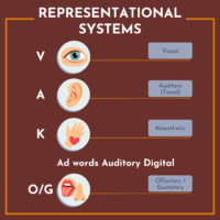 Speaking my sensory language